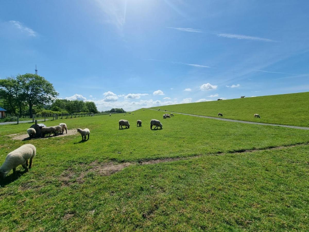 Ferienhaus Moewennest Villa นอร์เดน ภายนอก รูปภาพ